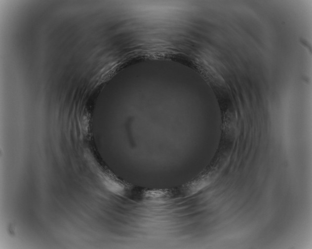 X0000096660139200802191315