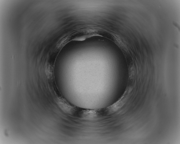 X0000096660140200802191315