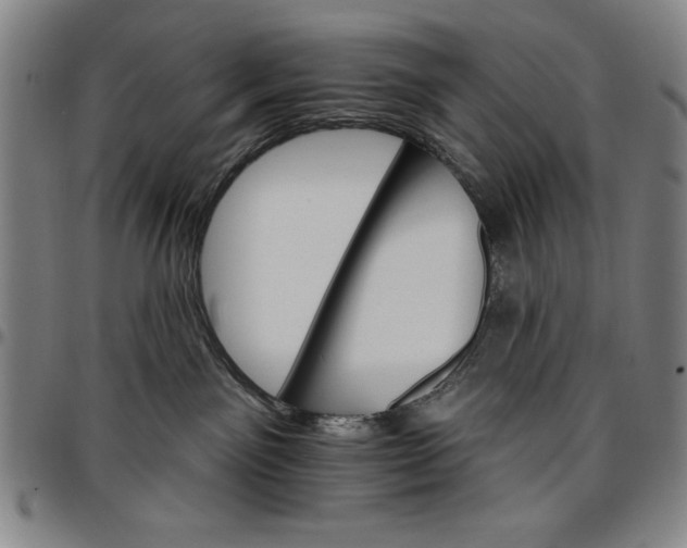 X0000096660141200802191315