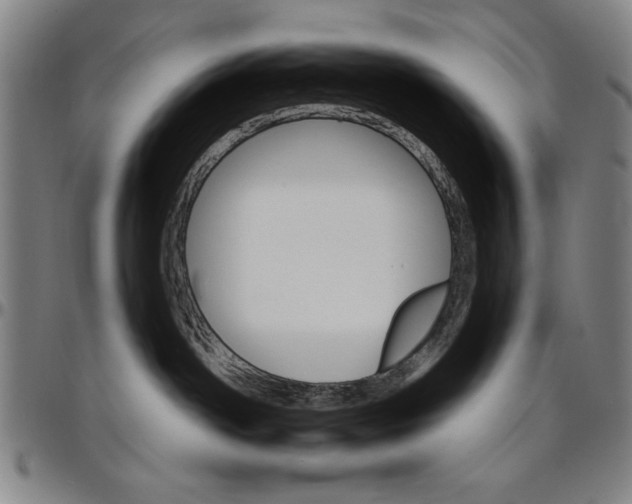 X0000096660142200802191315