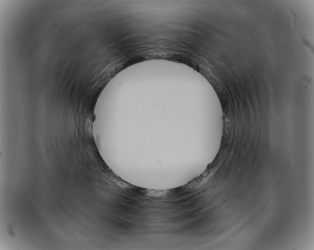 X0000096660143200802191315