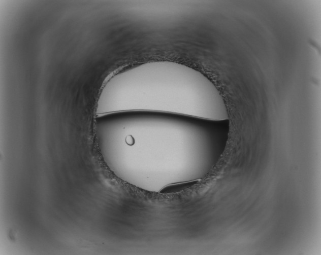 X0000096660144200802191315