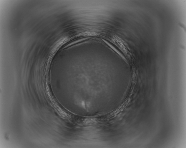 X0000096660145200802191315