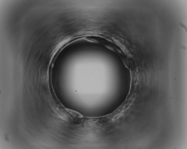 X0000096660148200802191315