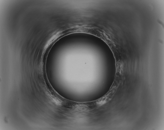 X0000096660150200802191315