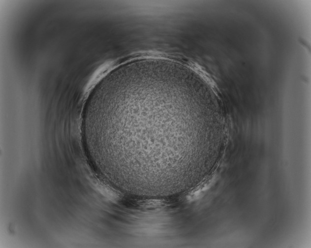 X0000096660151200802191315