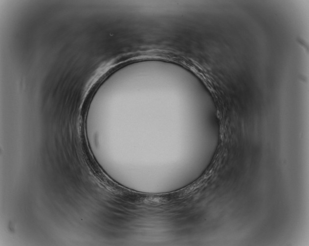 X0000096660152200802191315