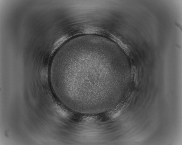 X0000096660155200802191315