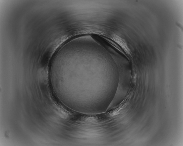 X0000096660156200802191315