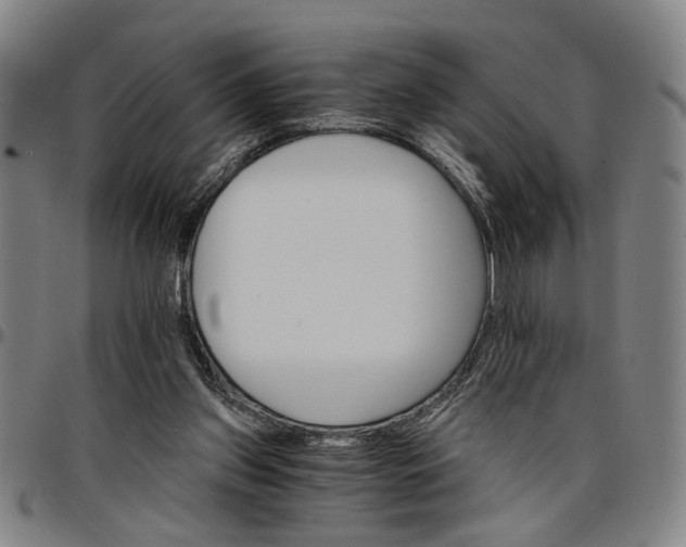 X0000096660157200802191315