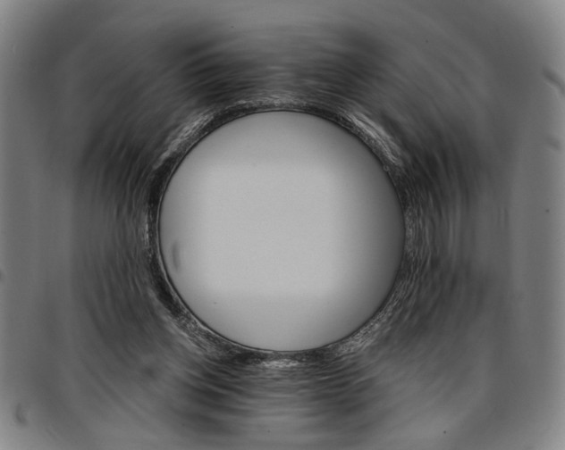 X0000096660158200802191315