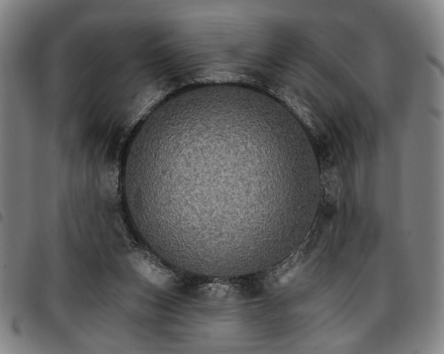 X0000096660159200802191315