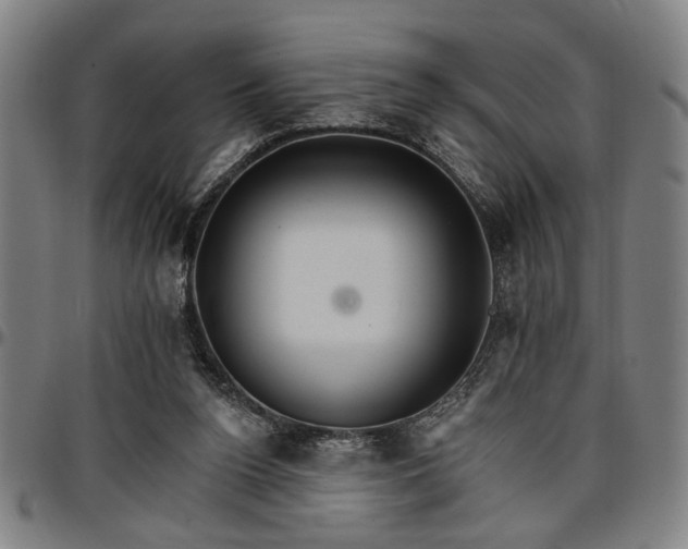 X0000096660160200802191315