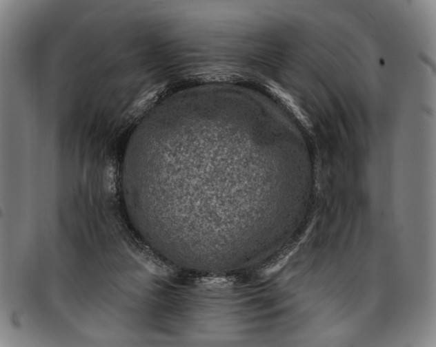 X0000096660161200802191315