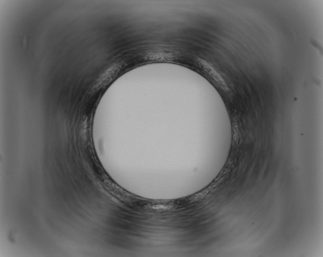 X0000096660163200802191315