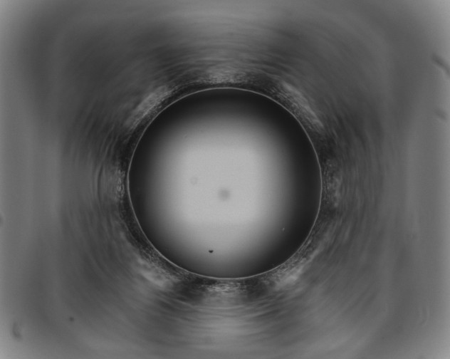 X0000096660164200802191315