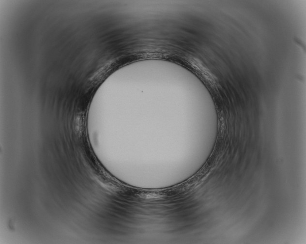 X0000096660165200802191315