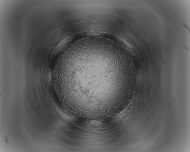 X0000096660166200802191315