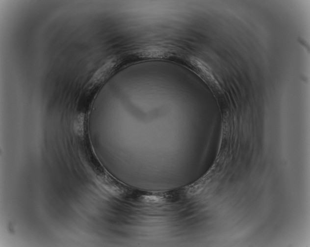 X0000096660167200802191315