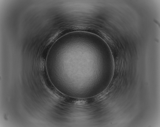 X0000096660168200802191315