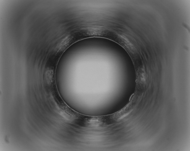 X0000096660171200802191315