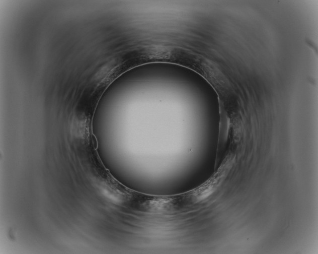 X0000096660172200802191315