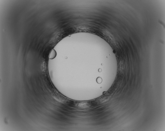 X0000096660173200802191315