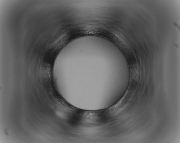 X0000096660174200802191315