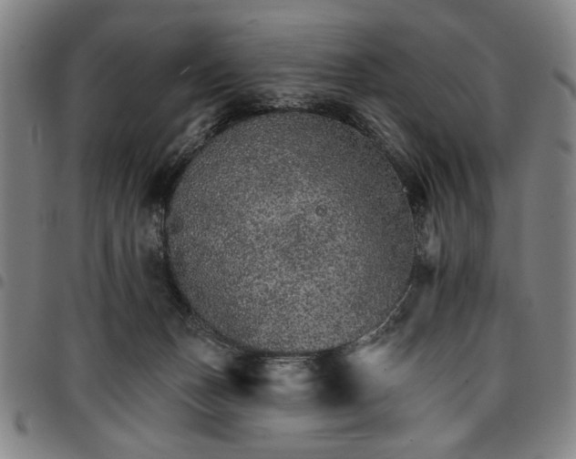 X0000096660175200802191315