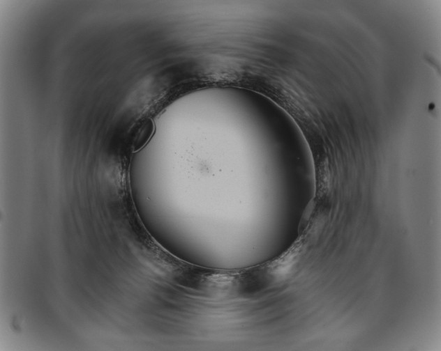 X0000096660176200802191315