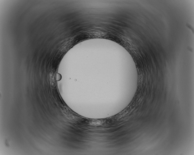 X0000096660177200802191315