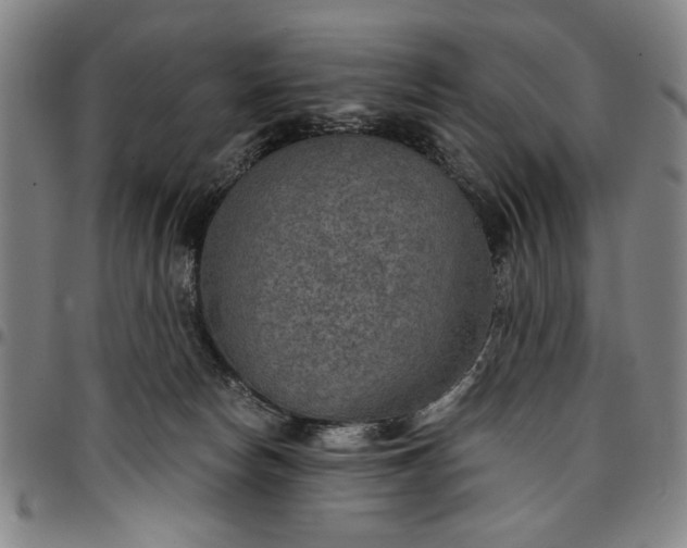 X0000096660178200802191315