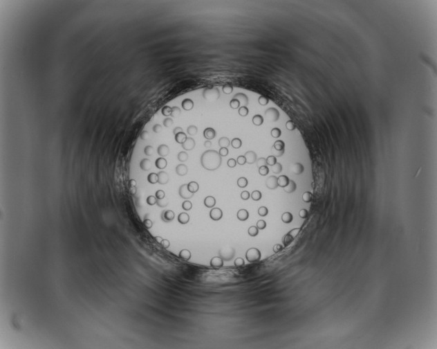 X0000096660179200802191315