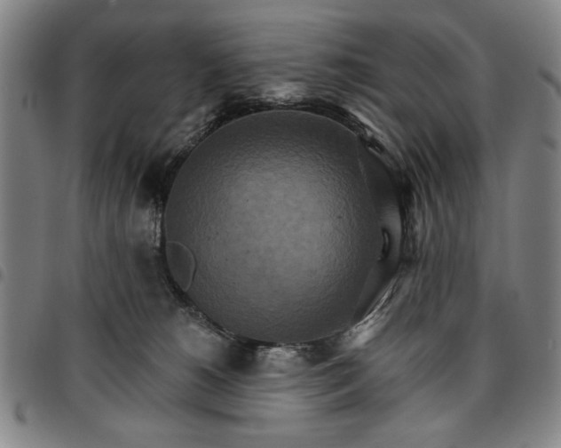 X0000096660180200802191315