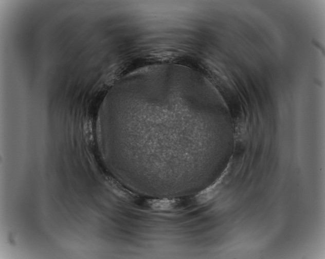 X0000096660182200802191315