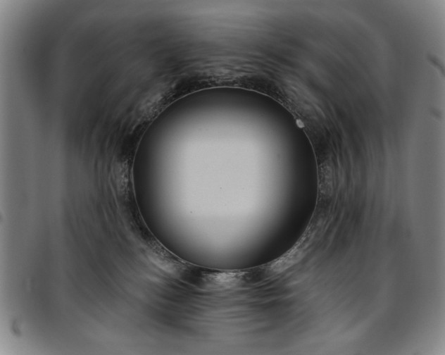 X0000096660184200802191315