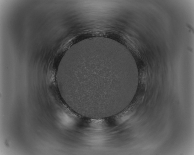 X0000096660185200802191315