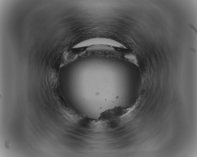 X0000096660186200802191315