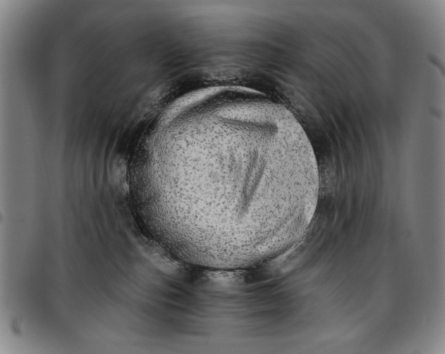 X0000096660187200802191315