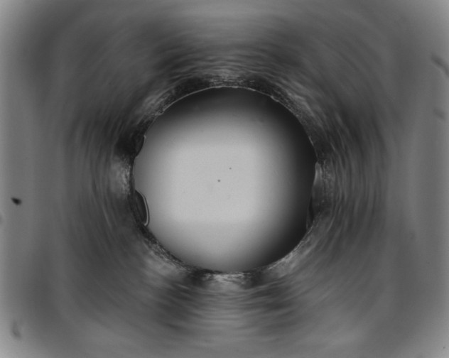 X0000096660188200802191315