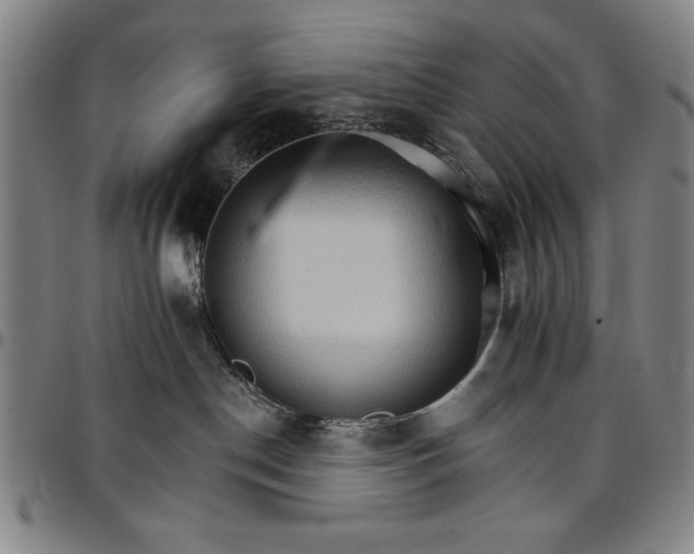 X0000096660190200802191315