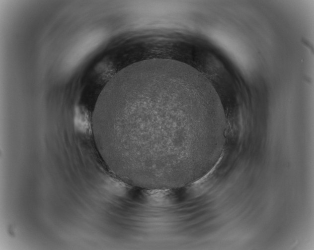 X0000096660191200802191315