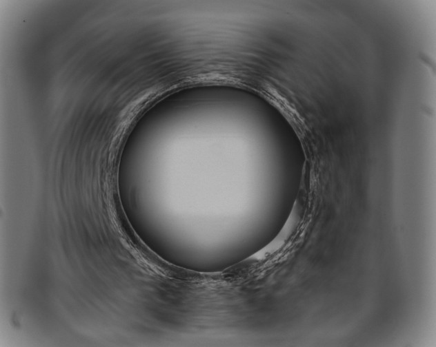 X0000096660193200802191315