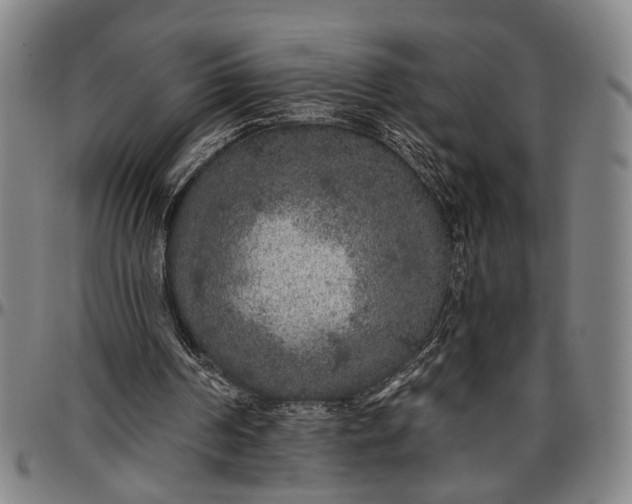 X0000096660194200802191315