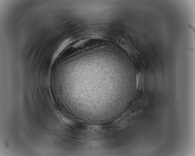 X0000096660195200802191315