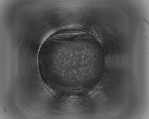 X0000096660196200802191315