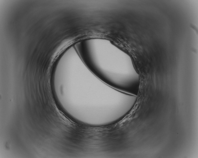 X0000096660197200802191315