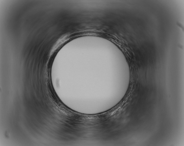 X0000096660198200802191315