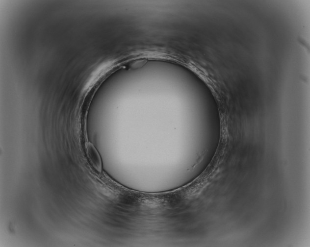 X0000096660199200802191315