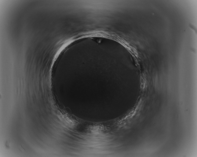 X0000096660200200802191314